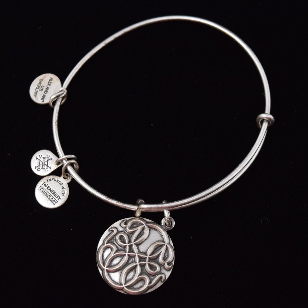 Alex And Ani Path Of Life Knowledge Strength Motivation Charm Bracelet Bangle